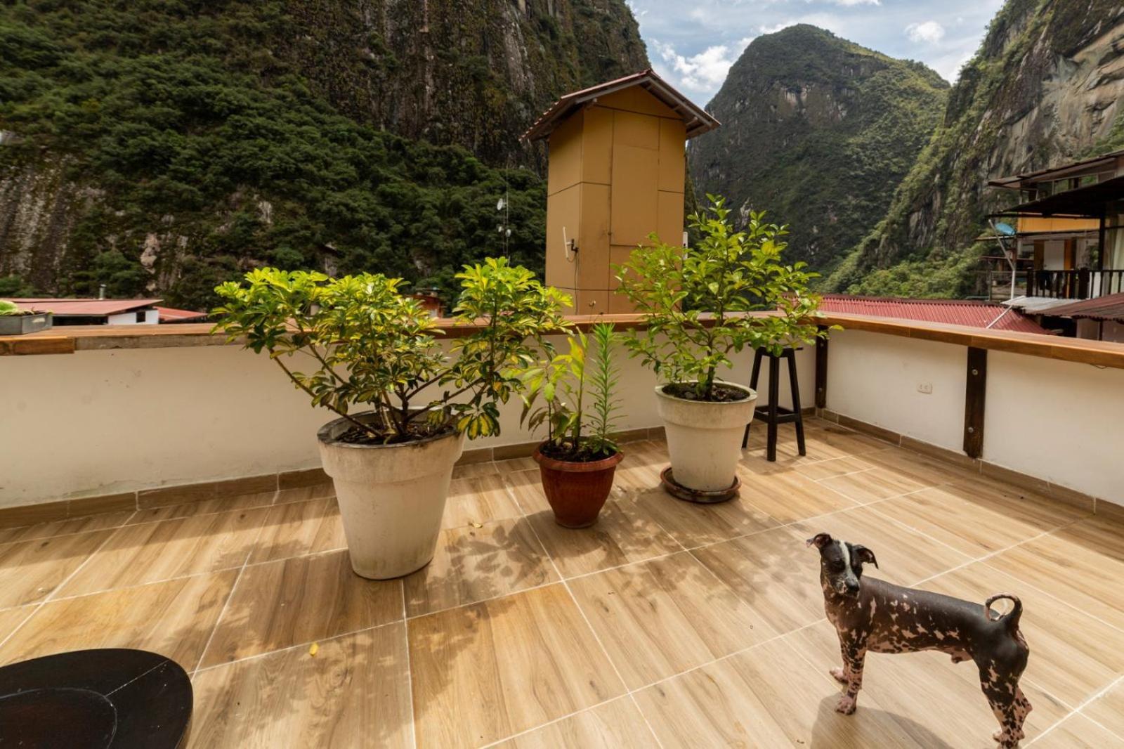 Gringo Bill'S Boutique Hotel 马丘比丘 外观 照片